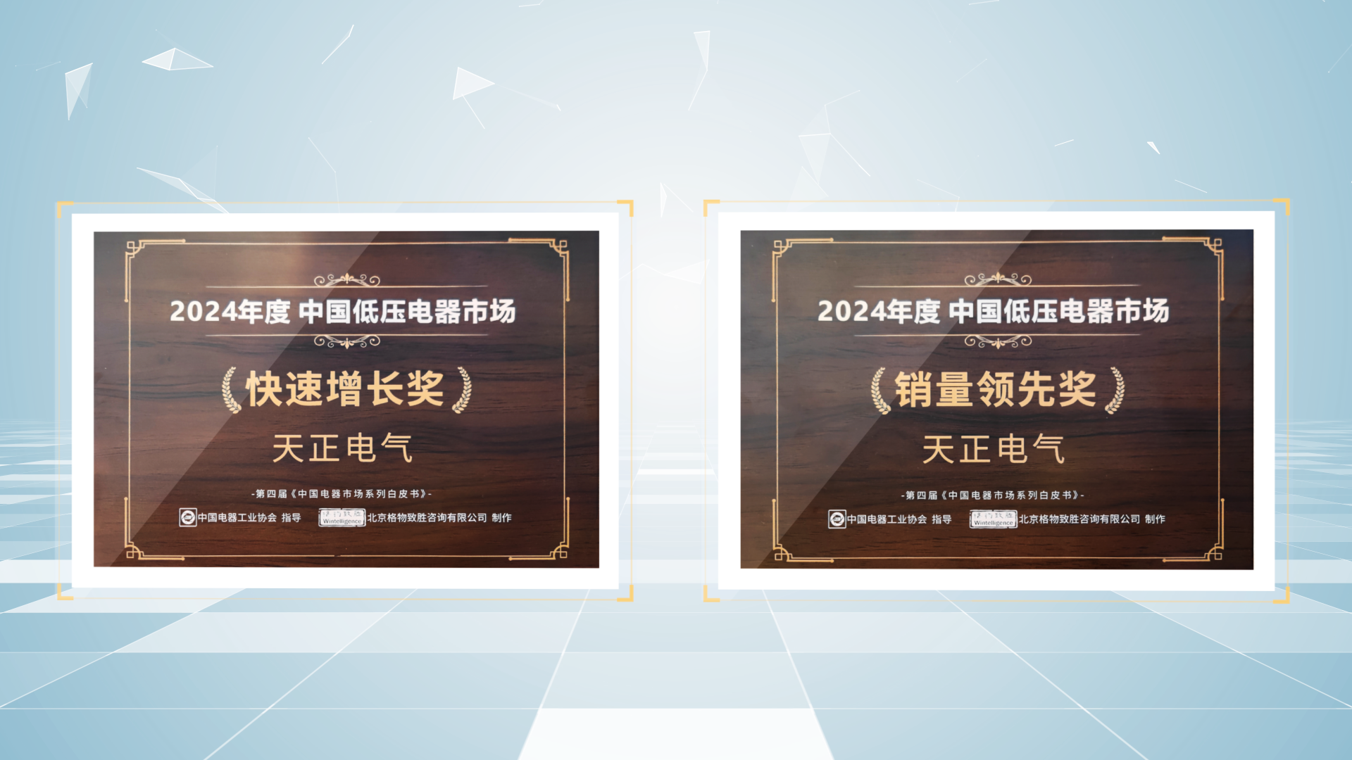 銷量領(lǐng)先、快速增長(zhǎng)丨天正榮膺2項(xiàng)行業(yè)年度大獎(jiǎng)