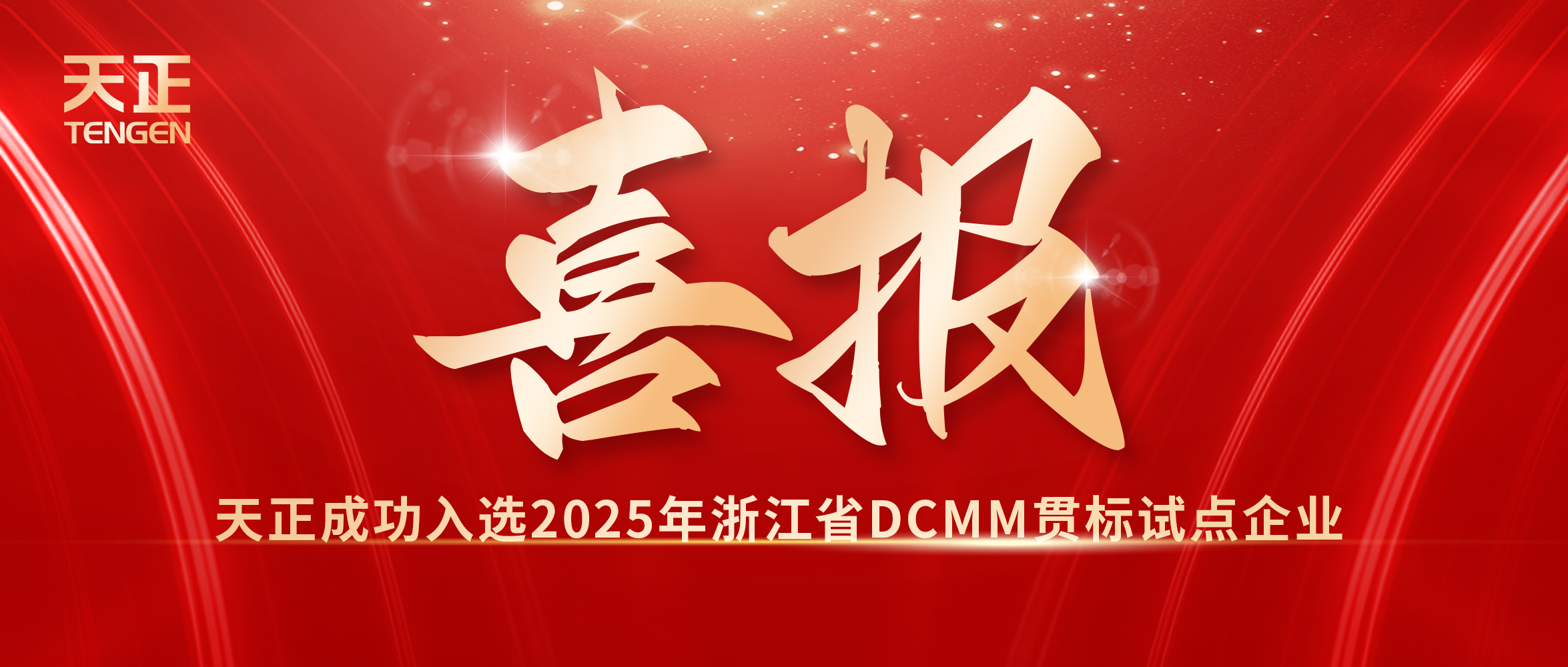 喜報！天正入選浙江省DCMM貫標試點企業(yè)